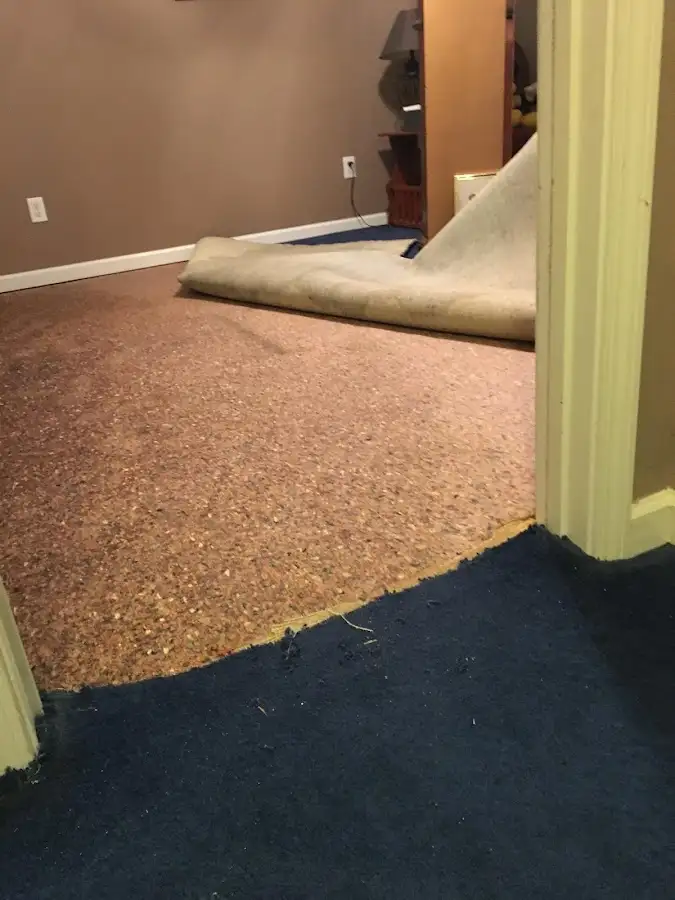 Carpet pad removal revealing water damage during Water Mitigation Services in Delmar
