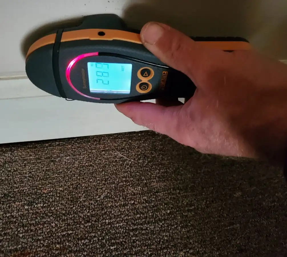Moisture detection at baseboard during Storm Damage Restoration in Delmar